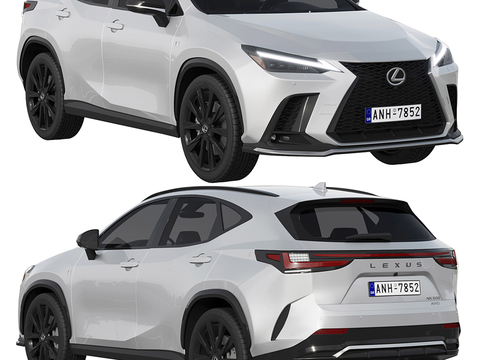 Lexus NX300 F-Sport 2022 car