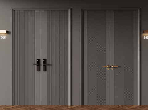 Modern entrance door double door