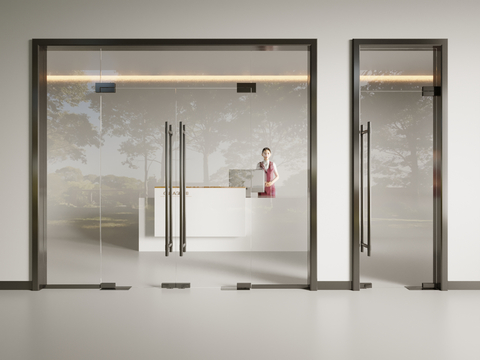 Modern glass door double door