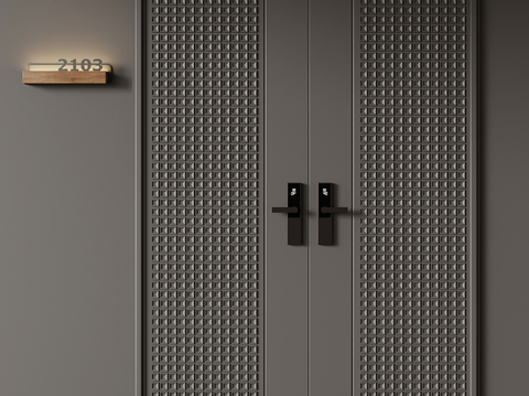 Modern entrance door double door