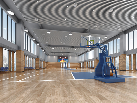 Indoor Basketball Court Basketball Hall