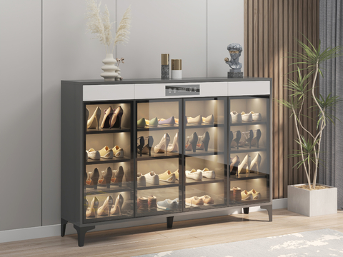 Modern shoe cabinet