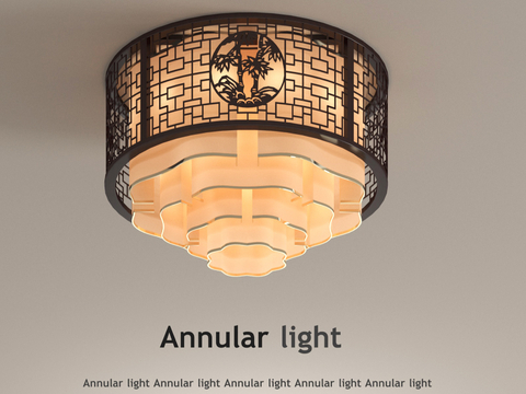 New Chinese ceiling lamp