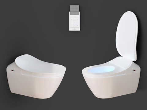 Modern Toilet Smart Toilet Flush Toilet Toilet