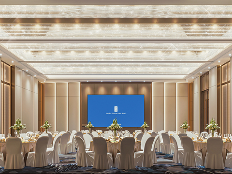 Modern Hotel Ballroom