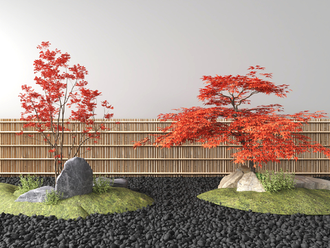 Japanese Red Maple Landscape