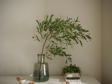 Modern Glass Vase Green Plant