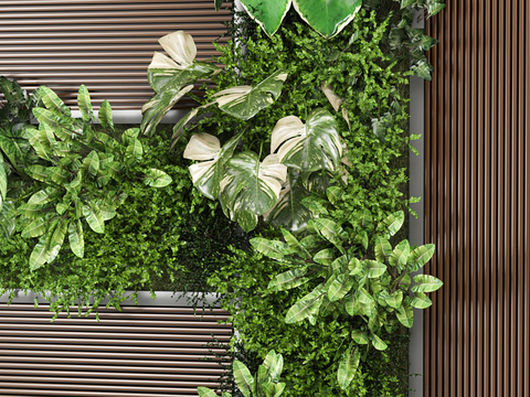 plant wall green plant wall