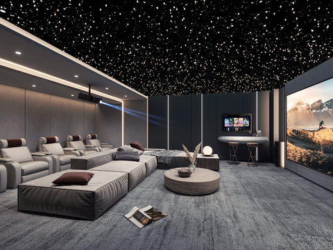 Audio-visual room Home theater