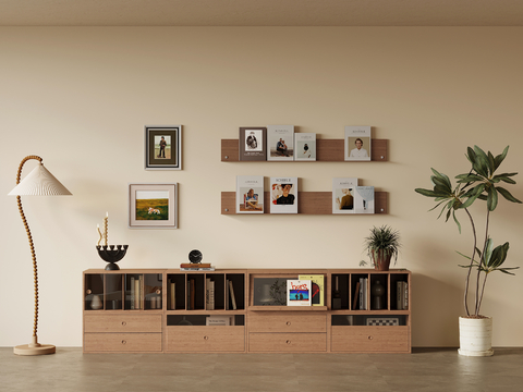 Middle Style Cabinet Bookcase