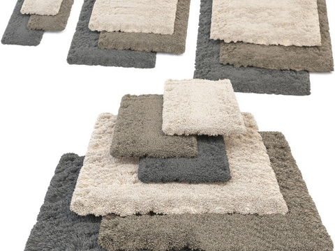 Modern Carpet Plush Carpet