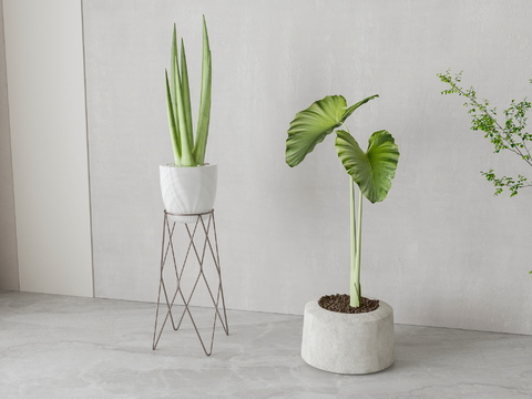 Modern Green Plant Potted Flower Rack