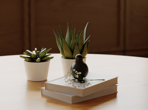 Modern Desktop Ornaments Potted Books Aloe