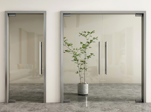 Modern glass door glass double door