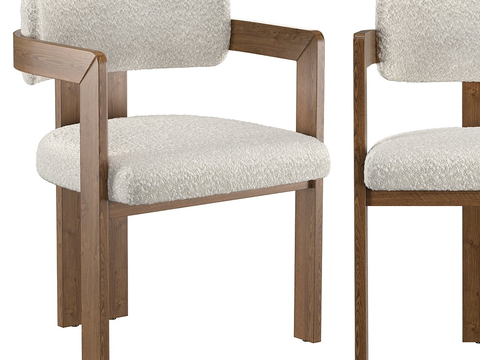 Modern Chair dining chair