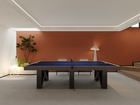 Modern Home Billiard Room Leisure Room