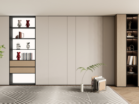 Modern bookcase Wall