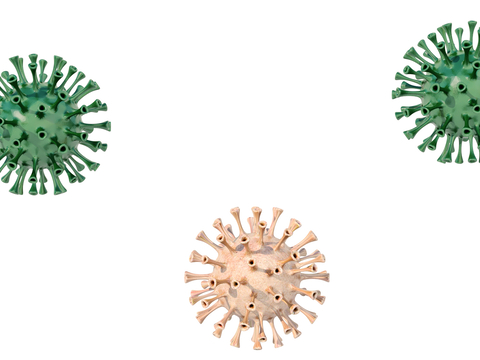 Virus Microorganism Bacteria