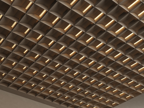 Modern Ceiling Ceiling