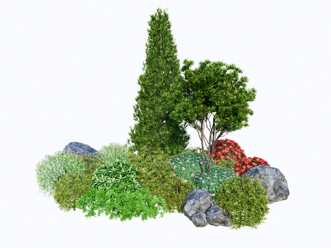 Modern Landscape Plants Courtyard Shrub Plants