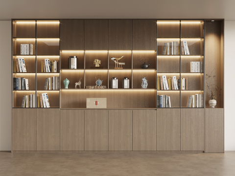 Modern Bookcase Showcase