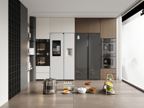 Modern refrigerator cabinet kitchen appliances