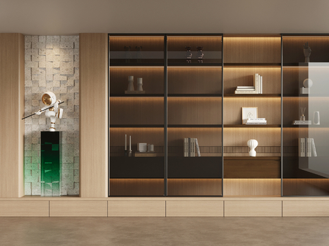 Modern Bookcase Showcase