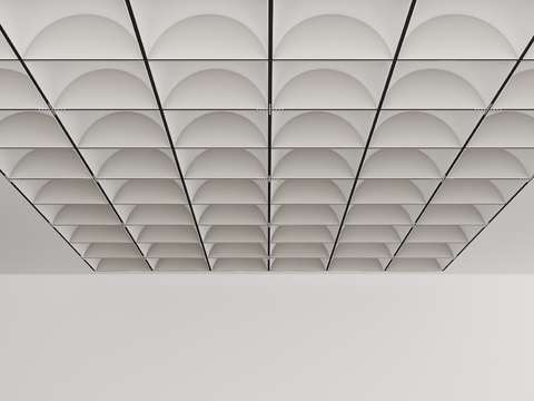 Modern Ceiling