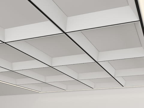 Modern Ceiling