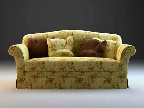 American-style double sofa