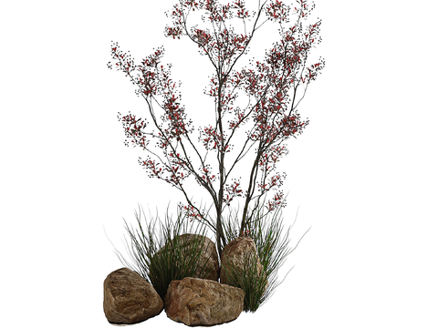 Modern plant pile stone landscape tree