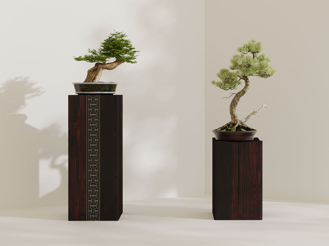 New Chinese Bonsai Bonsai Pine and Cedar