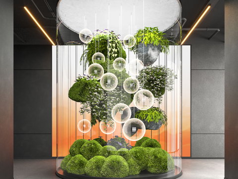 Indoor landscape landscaping bryophytes plant device