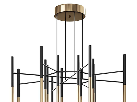 Affordable Luxury Style Chandelier Multi-head Chandelier