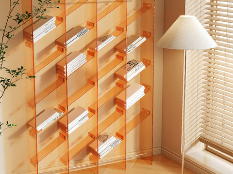 Acrylic Storage Rack