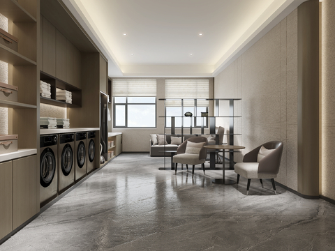 Modern Hotel Laundry Room