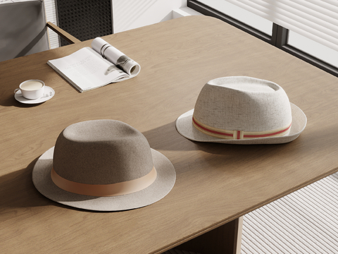 hat sun hat canvas hat