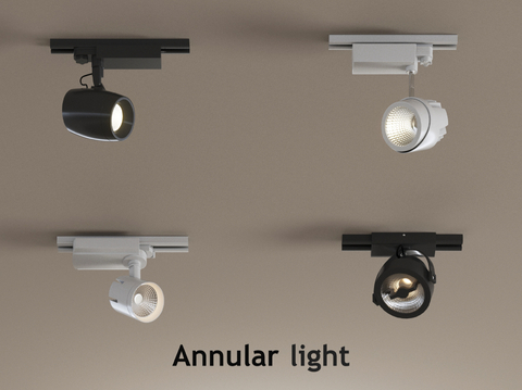 surface-mounted downlight, spotlight, turn signal, track lamp