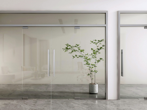 Modern glass door glass double door