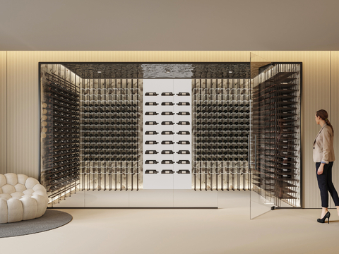 Modern Wine Cellar