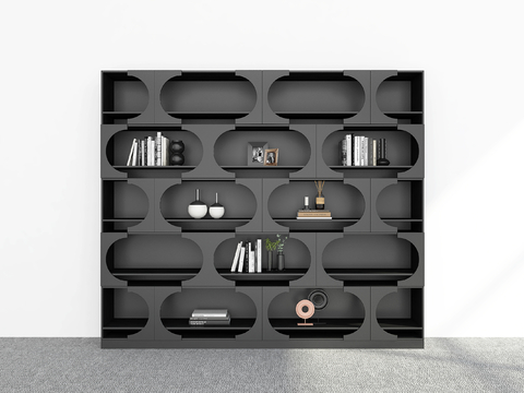 Modern Bookcase Showcase