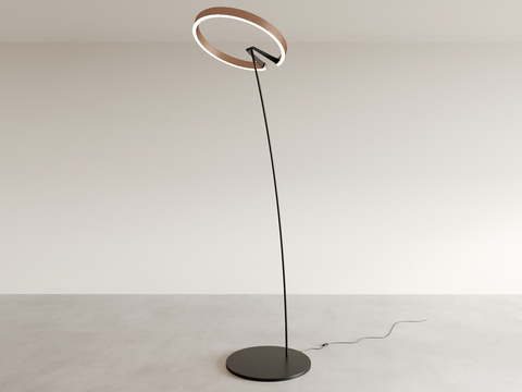 Simple floor lamp fishing lamp