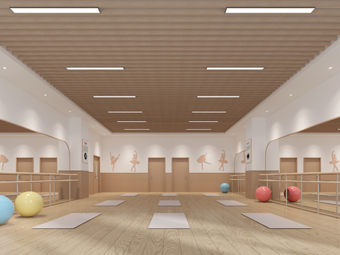 Modern Yoga Studio Dance Classroom