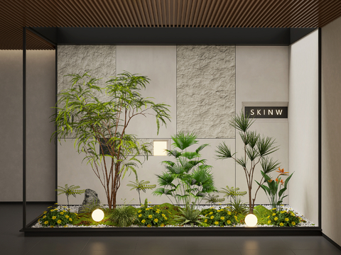 indoor landscape plant landscaping