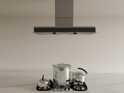 Gas stove range hood