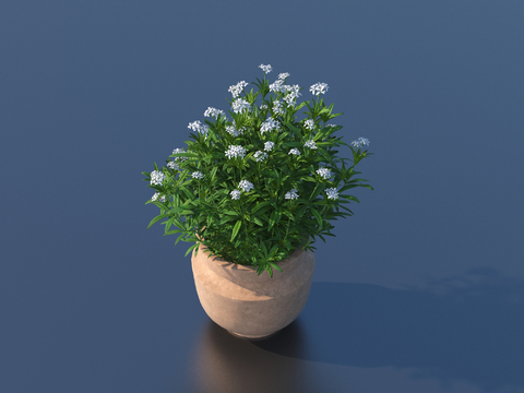 flowerpot potted plant green plant