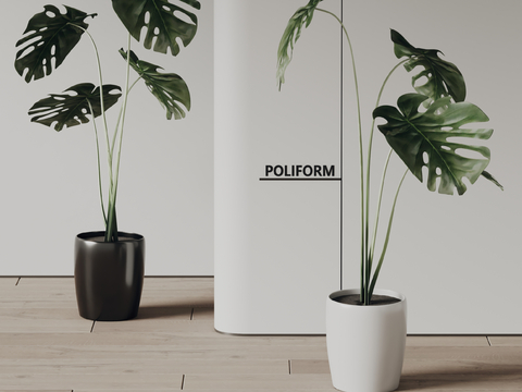 poliform modern potted plant