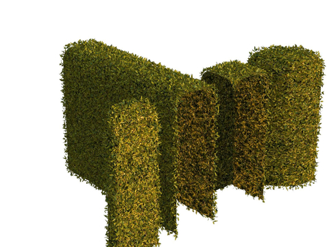 Shaped shrub plant wall shrub hedge