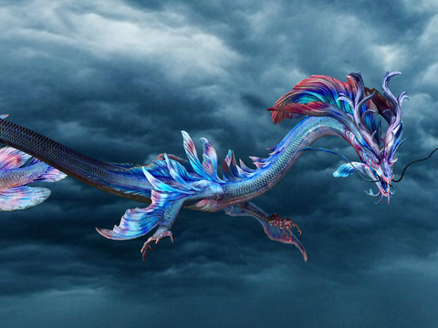 animal dragon dragon