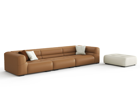 Couch leather sofa